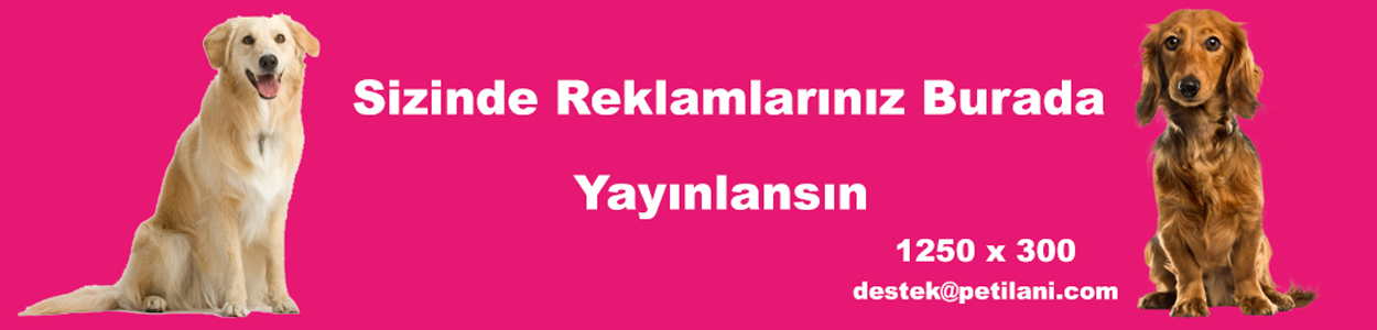 Balık İlanları