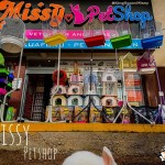 MissyPets2